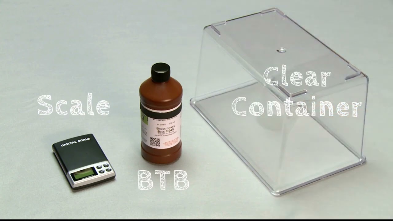 B.2 Lesson 2 What is BTB?