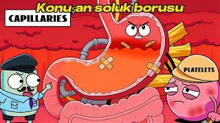 Mutlaka Bilinmesi Gereken Sağlık Bilgileri! Kritik Anlarda Hayat Kurta