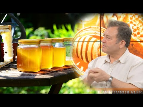 A prishet mjalti? Ja sa kohë mund të ruhet dhe si… Mos e bëni këtë gabim në përdorimin e tij!