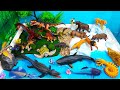 3 Small Worlds Animal Dioramas Ice Age Dinosaurs And Prehistoric Sea Animals Preschool Project DIY