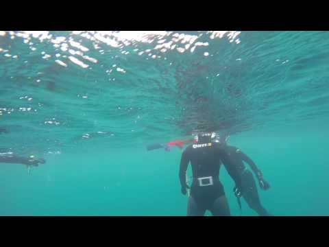 Apnoetauchen in Hemmoor - TSG Porz