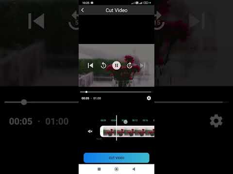 Mute Video