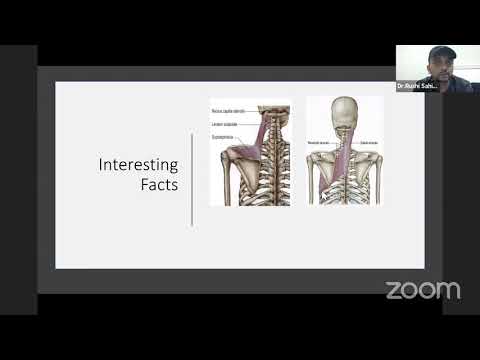 Webinar on Complexity of Rotator cuff dysfunction and manual therapy Rx  approaches by Rushi,USA