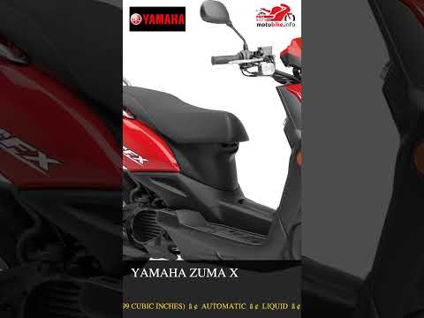 Yamaha Zuma X - Video 1