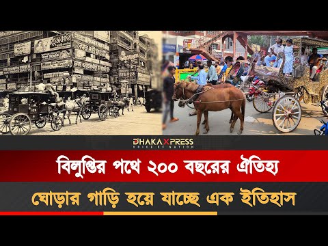 বাংলার ঘোড়ার গাড়ি অতীতের গর্ব, বর্তমানের সংগ্রাম