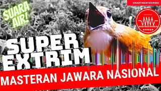 Download lagu Suara burung Sikatan Rimba Dada Coklat gacor - SRDC jernih mp3
