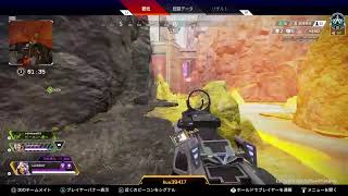 コールドスタジオの生配信　Apex　初見さん大歓迎　コールドスタジオのバトロワ生配信