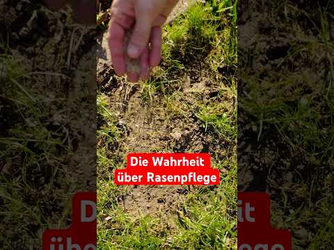 Permakultur: Lass dich nicht täuschen!