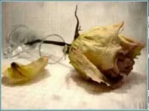 Conversacion entre hermanos