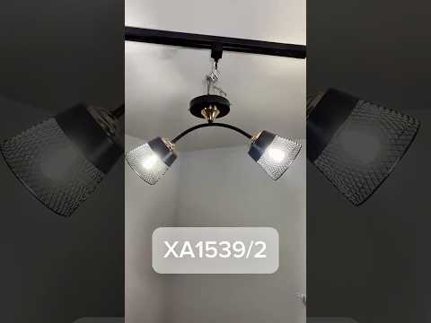 Миниатюра изображения товара Потолочный светильник Aitin-Pro НПБ 02-2x60-102 / XA1539/2