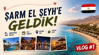 ŞARM EL ŞEYH'E GELDİK! 🇪🇬🌴 | Amphoras Beach Hotel, Old Market, Naama Bay & Farsh