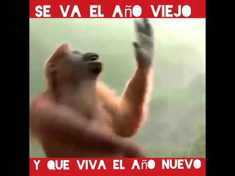 Se nos va el año viejo