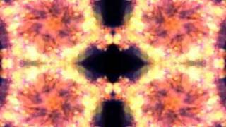 YELLE - Qui est cette fille? (Español)