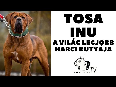 Nekane Moon Megosztja A Farkát A Hátán - Nagy Szex Internetes Honlapján.