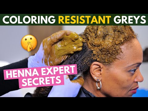 How to color resistant grey hair with henna and Indigo...