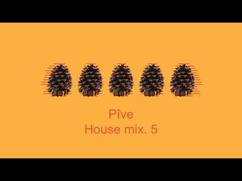 Pîve - House mix. 5 ¦ Purple Disco Machine ¦ ATFC ¦ Cassius ¦ Per QX ¦ Moreno Pezzolato & more