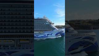 🤍💜🩵NORWEGIAN VIVA IN SANSE'S FEST 🇵🇷 #cruiseship #cruise