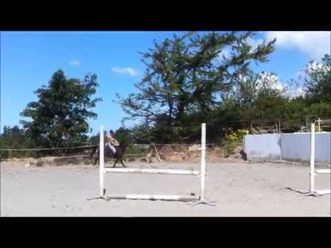 SPRANGPONNI SELGES - Monty Phyton - Kat.2