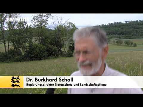 BWeins-Sendung vom 30.06.2020