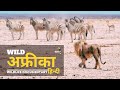 Wild Africa - हिन्दी डॉक्यूमेंट्री | Wildlife documentary in Hindi