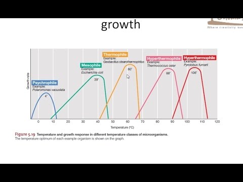 download lagu mp3 mp4 Why Does Bacteria Grow Better In Warm Temperatures, download lagu Why Does Bacteria Grow Better In Warm Temperatures gratis, unduh video klip Why Does Bacteria Grow Better In Warm Temperatures