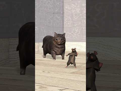 Dancing Rat vs OIIA Cat 🗿 #shorts #babyduck