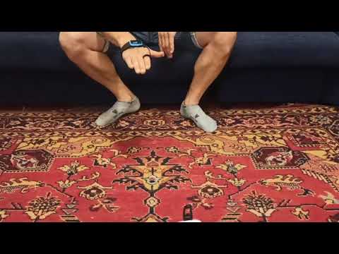 Инструкция по управлению интерактивная игрушка Собака на радиоуправлении 666-800A Управление жестами