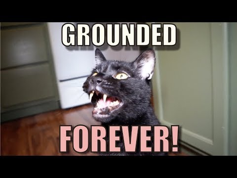 Talking Kitty Cat 59 - Grounded Forever!