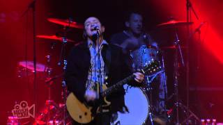 Hoodoo Gurus - I Want You Back (Live at Dig It Up! Sydney) | Moshcam