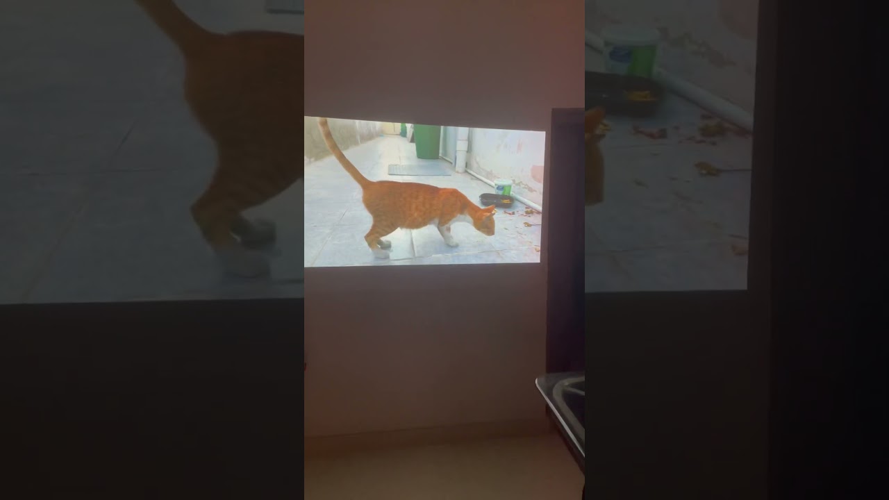 BenQ M5550 projecteur SVGA HDMI neuf emballage video thumbnail