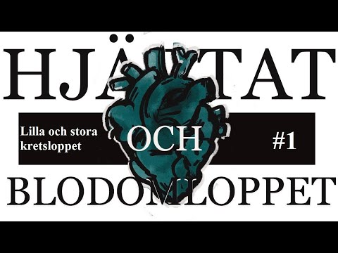 Åk 8 Blodomloppet del 1 Stora och lilla kretsloppet