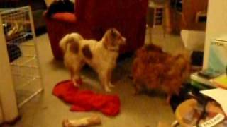 Video03