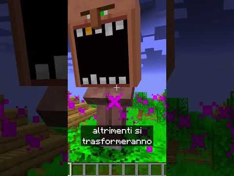 NON ATTACCATE I VILLAGER IN MINECRAFT 💀