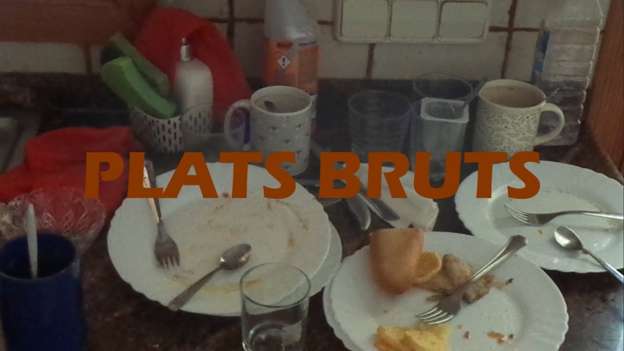 plats bruts (filmar la lletjor)