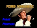 PEDRO FERNANDEZ "Puras Mentiras"