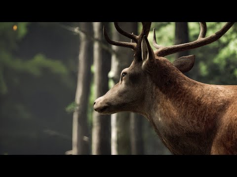 The Hollow Remains | A Cinematic 3D Zombie Short Film | D5 Render |Ajai Poovadan