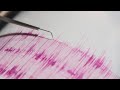 Tsunami Warning In Vanuatu Following Earthquake