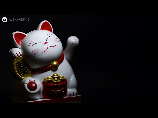 Vídeo relacionado con SUPERFINDINGS 2PCS Maneki Neko Ornamentos de Buena Suerte Colgantes Llavero de Monedas Chinas de la Suerte Llavero de Gato de la Suerte con Monedas de los Cinco Emperadores Feng Shui para Riqueza