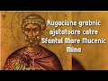 Rugăciune Grabnic Ajutătoare Către Sfântul Mare Mucenic Mina
