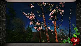 Bilitis-Generique - Sarah Brightman