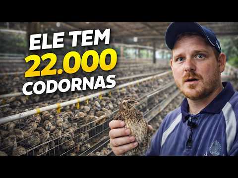ELE TEM 22.000 CODORNAS… E ISSO DÁ DINHEIRO? 😳