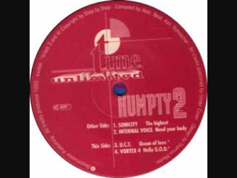 Internal Voice - Need Your Body (303) Old Acid