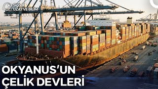 Dünyayı Ayakta Tutan Lojistik Devleri | Türkçe Dublaj Belgesel
