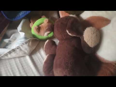 Una aventura de peluches parte 1/10