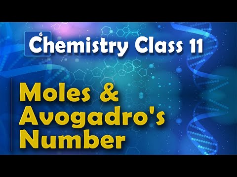 Moles and Avogadro's Number - Basic Concepts of Chemistry - Chemistry Class 11 Video