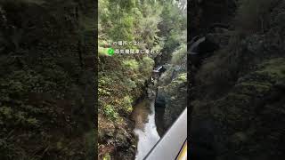 📍Walhalla メルボルン中心地から車で約2時間半。(なので正確にはVictoria州の観光地になります💡)ゴールドラッシュで栄えた小さな町で、蒸気機関車や金鉱のツアーがあります🚂