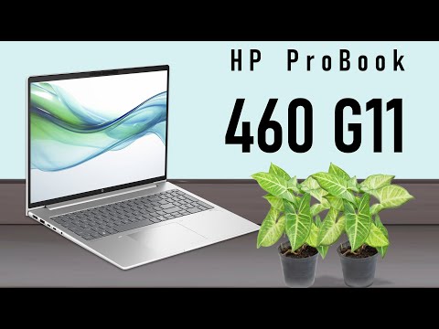 HP ProBook 460 G11 A23BZEA Ultra 5 125U 16GB 512GB Intel Graphics W11P Pike Silver