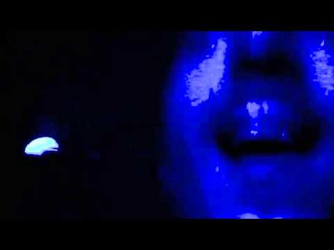 GIAN NOBILEE TAKE CONTROL