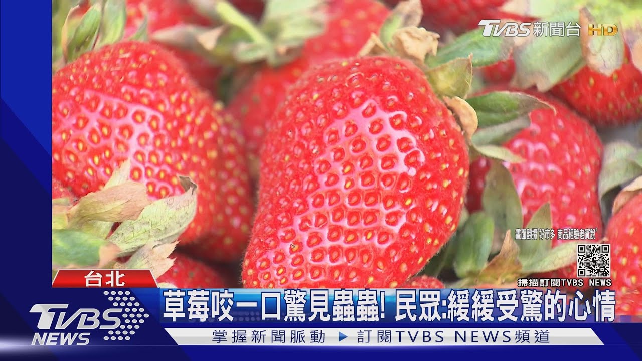 草莓咬一口驚見蟲蟲! 民眾:緩緩受驚的心情