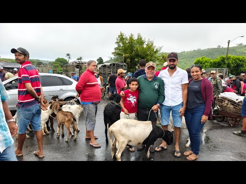 Feira De Animais, Umbuzeiro, Paraíba | 23/05/2026